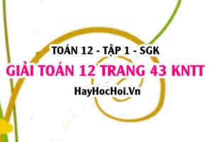 Giải Toán 12 trang 43 tập 1 Kết nối tri thức